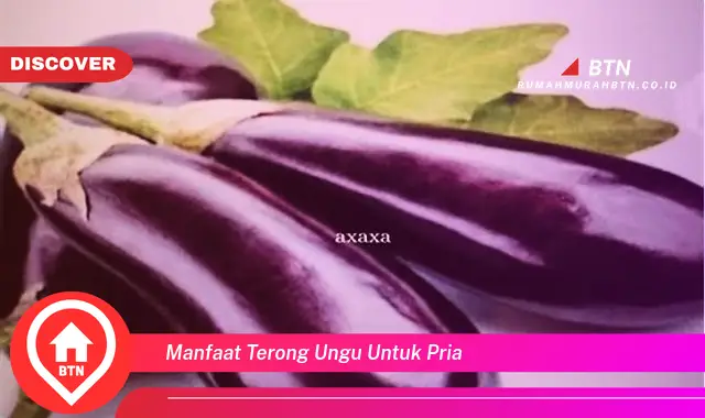 manfaat terong ungu untuk pria