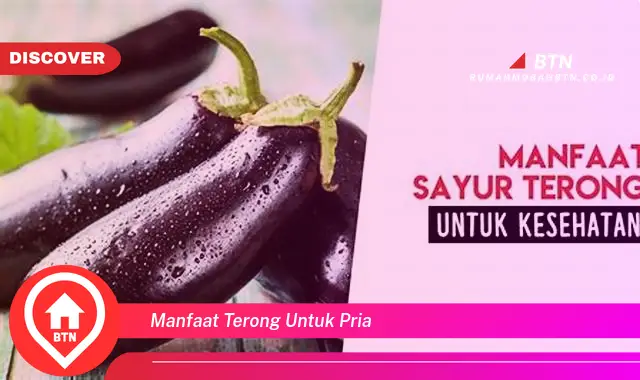 manfaat terong untuk pria