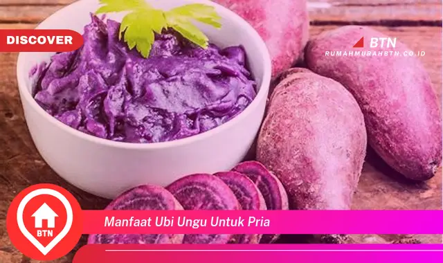 manfaat ubi ungu untuk pria