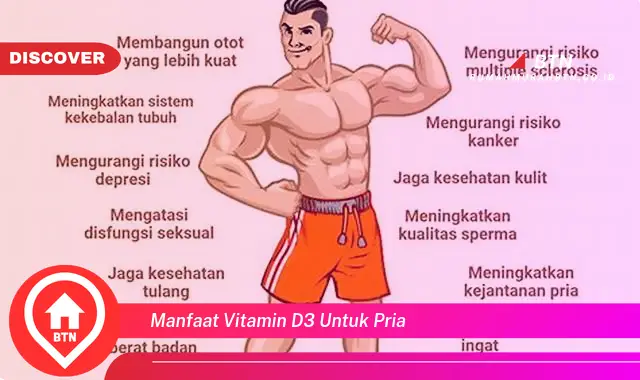 manfaat vitamin d3 untuk pria