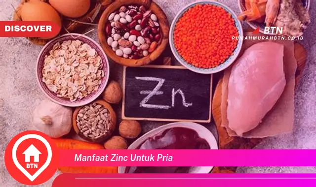 manfaat zinc untuk pria