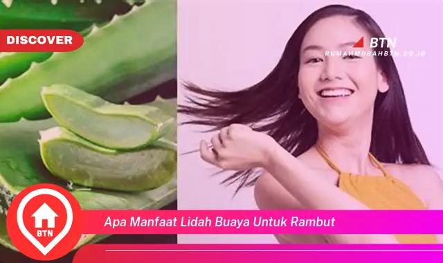 apa manfaat lidah buaya untuk rambut