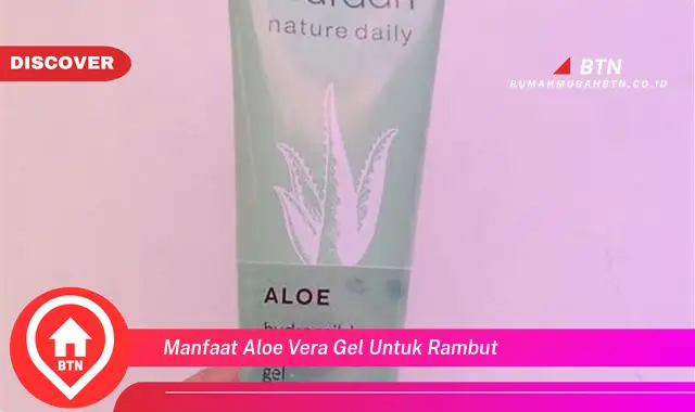 manfaat aloe vera gel untuk rambut