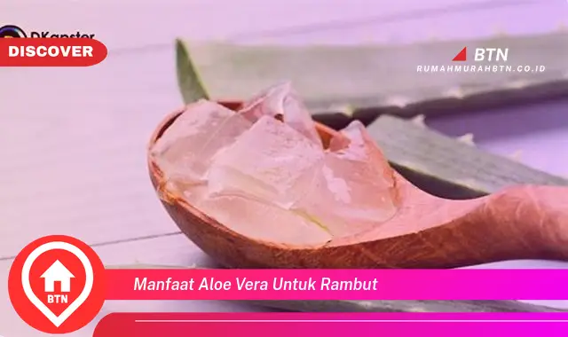 manfaat aloe vera untuk rambut