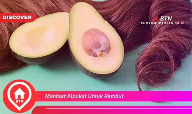 manfaat alpukat untuk rambut