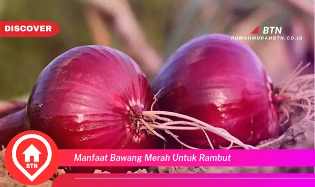 manfaat bawang merah untuk rambut