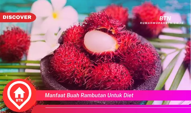 manfaat buah rambutan untuk diet