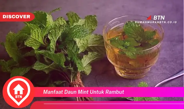 manfaat daun mint untuk rambut