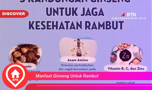 manfaat ginseng untuk rambut