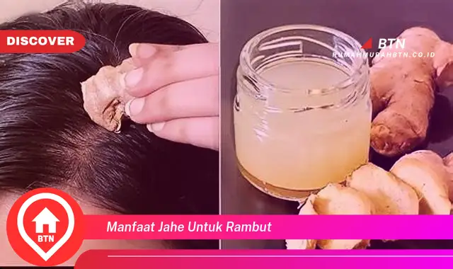 manfaat jahe untuk rambut