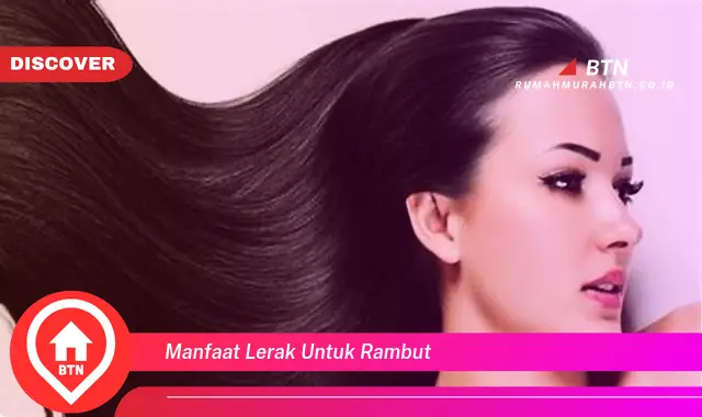 manfaat lerak untuk rambut