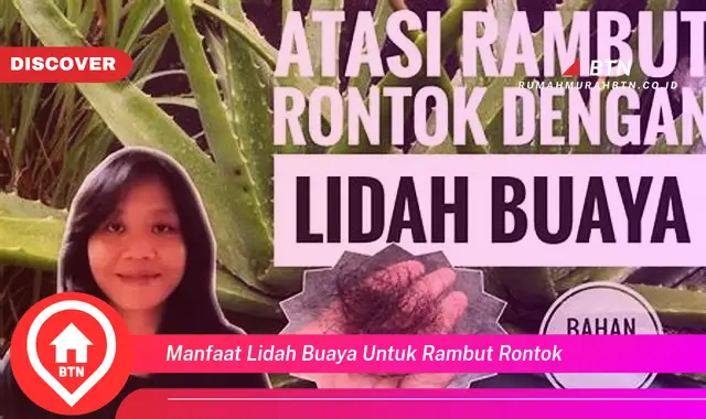 manfaat lidah buaya untuk rambut rontok