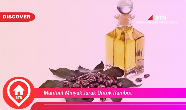 manfaat minyak jarak untuk rambut