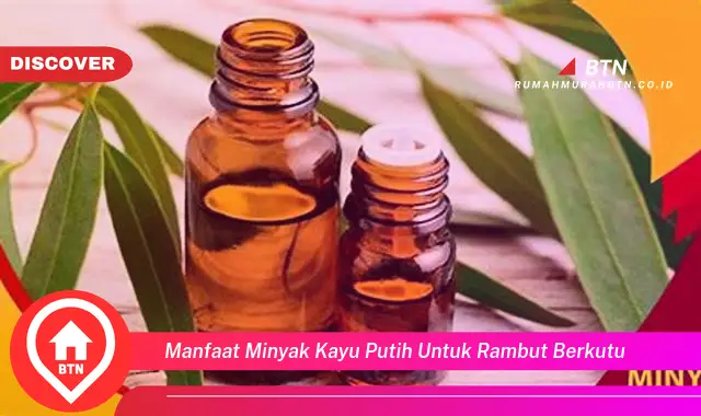 manfaat minyak kayu putih untuk rambut berkutu