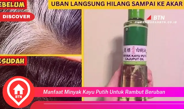 manfaat minyak kayu putih untuk rambut beruban