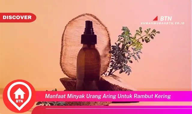 manfaat minyak urang aring untuk rambut kering