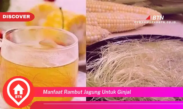 manfaat rambut jagung untuk ginjal