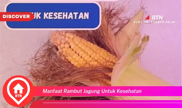 manfaat rambut jagung untuk kesehatan