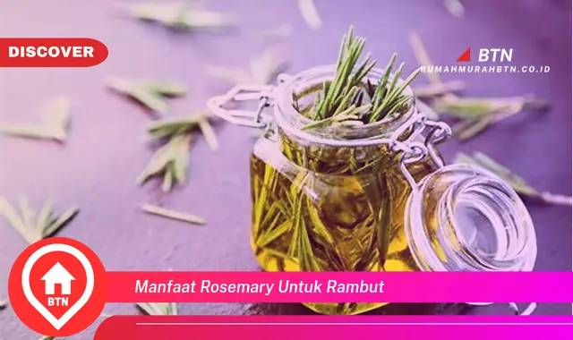 manfaat rosemary untuk rambut