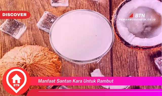 manfaat santan kara untuk rambut