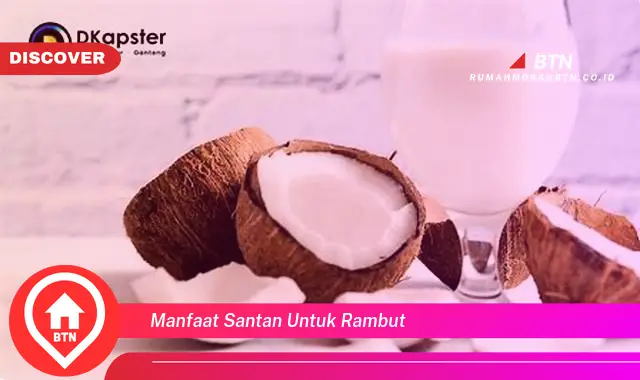 manfaat santan untuk rambut