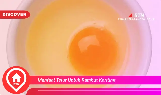 manfaat telur untuk rambut keriting