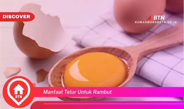 manfaat telur untuk rambut