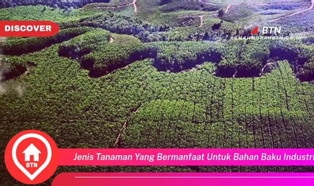 jenis tanaman yang bermanfaat untuk bahan baku industri adalah