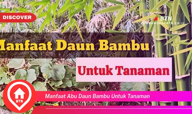 manfaat abu daun bambu untuk tanaman