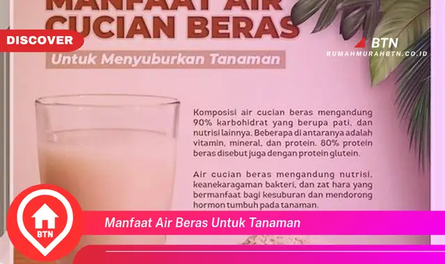 manfaat air beras untuk tanaman