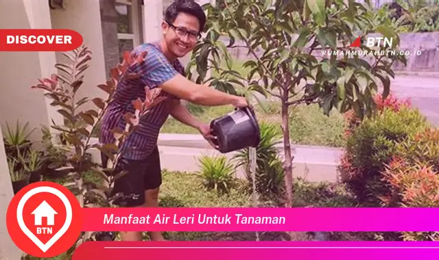 manfaat air leri untuk tanaman