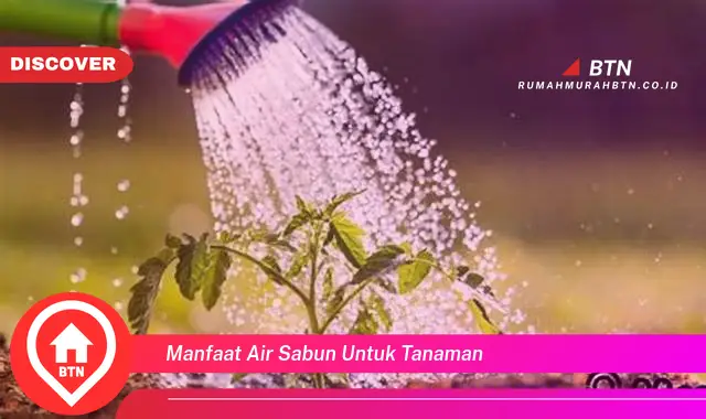 manfaat air sabun untuk tanaman