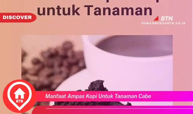 manfaat ampas kopi untuk tanaman cabe