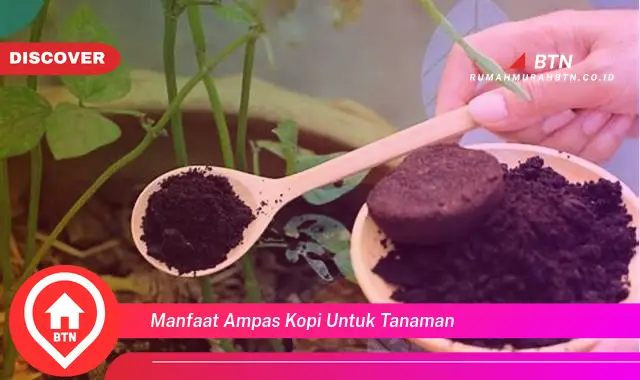 manfaat ampas kopi untuk tanaman