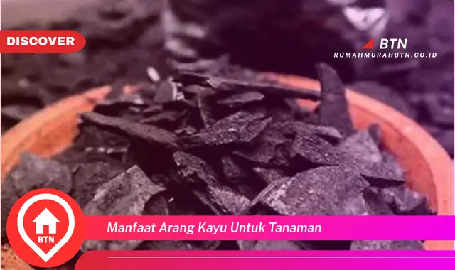 manfaat arang kayu untuk tanaman