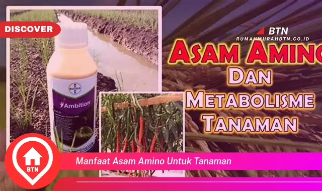 manfaat asam amino untuk tanaman