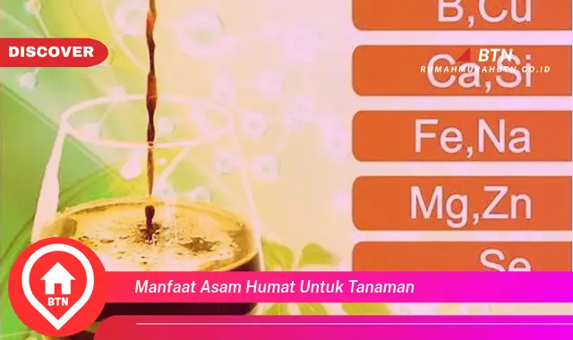 manfaat asam humat untuk tanaman