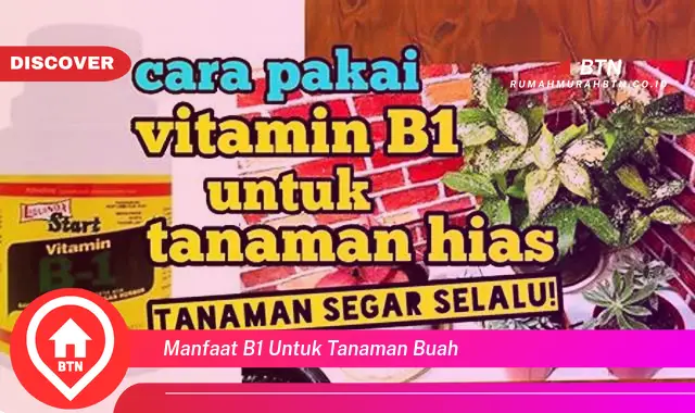 manfaat b1 untuk tanaman buah