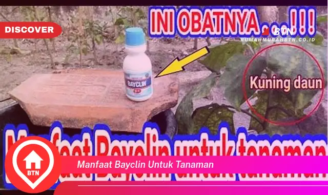 manfaat bayclin untuk tanaman