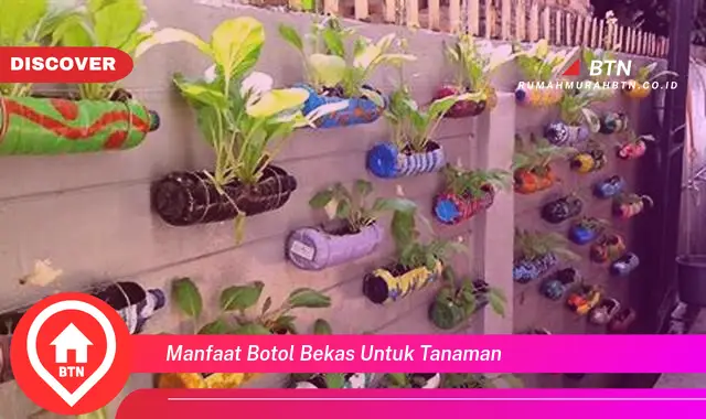 manfaat botol bekas untuk tanaman