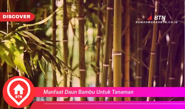 manfaat daun bambu untuk tanaman