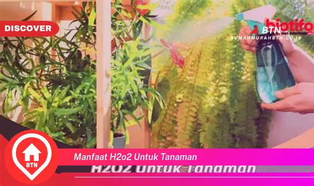 manfaat h2o2 untuk tanaman