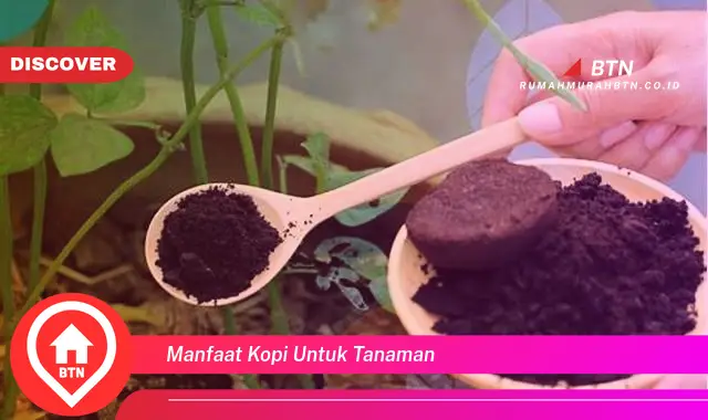 manfaat kopi untuk tanaman