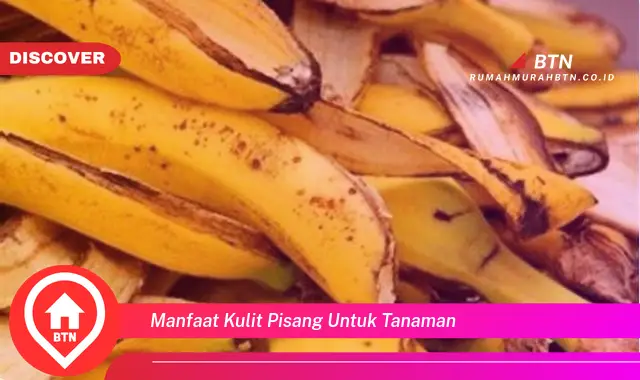 manfaat kulit pisang untuk tanaman