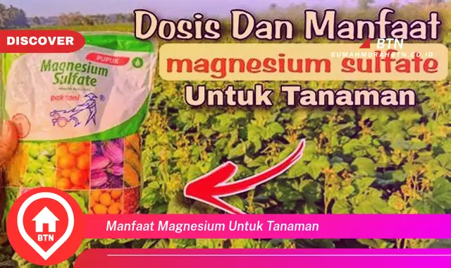 manfaat magnesium untuk tanaman