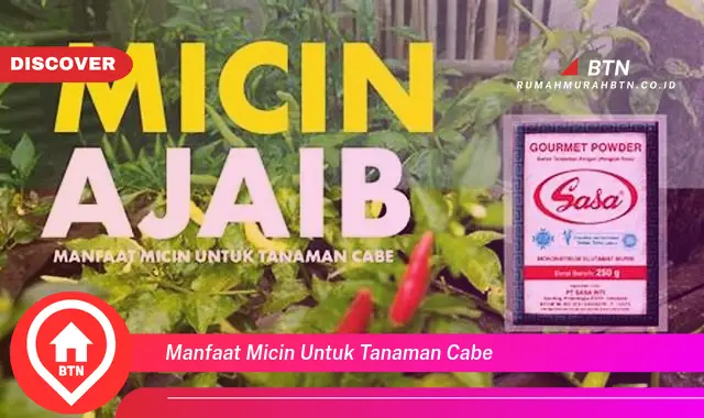 manfaat micin untuk tanaman cabe