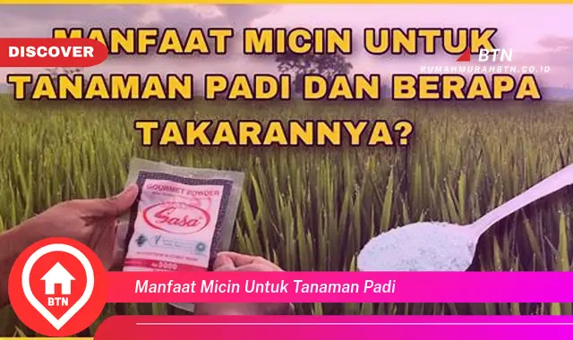 manfaat micin untuk tanaman padi