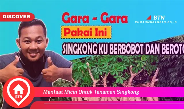 manfaat micin untuk tanaman singkong