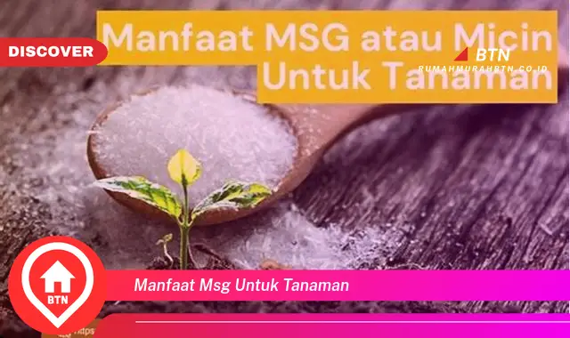 manfaat msg untuk tanaman