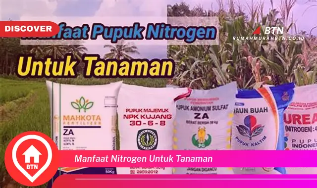 manfaat nitrogen untuk tanaman